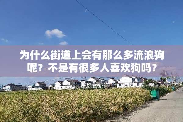 为什么街道上会有那么多流浪狗呢？不是有很多人喜欢狗吗？