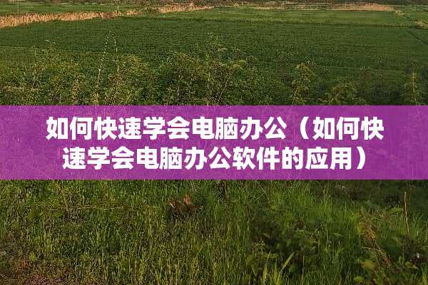如何快速学会电脑办公（如何快速学会电脑办公软件的应用）