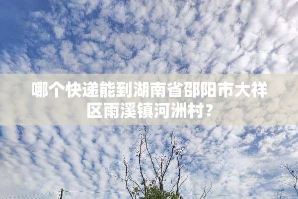 哪个快递能到湖南省邵阳市大祥区雨溪镇河洲村？
