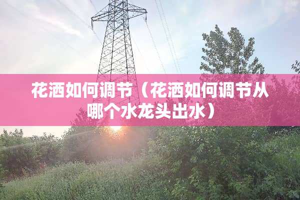 花洒如何调节（花洒如何调节从哪个水龙头出水）