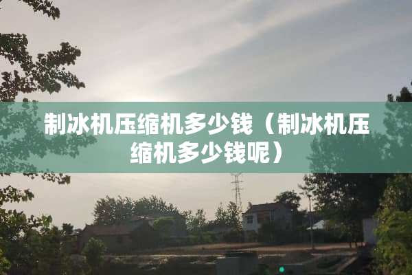 制冰机压缩机多少钱（制冰机压缩机多少钱呢）