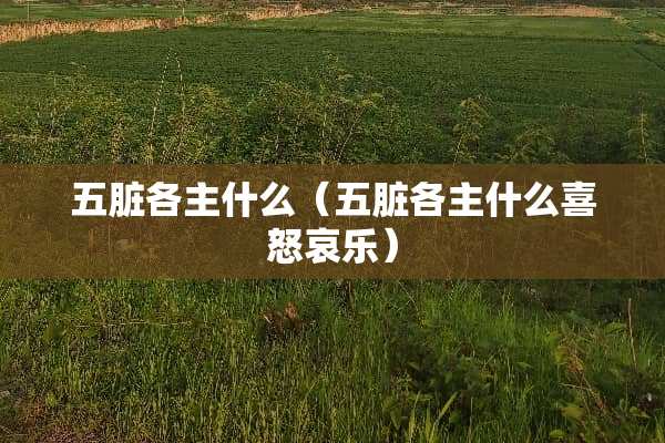 五脏各主什么（五脏各主什么喜怒哀乐）