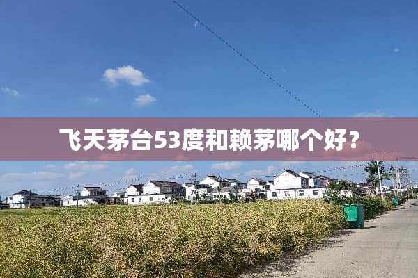 飞天茅台53度和赖茅哪个好？