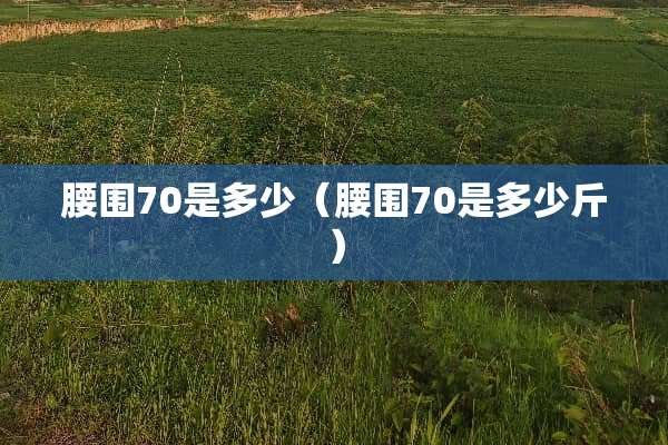 腰围70是多少（腰围70是多少斤）