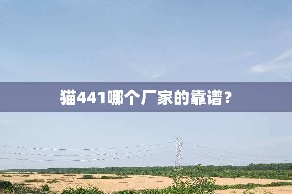猫441哪个厂家的靠谱？