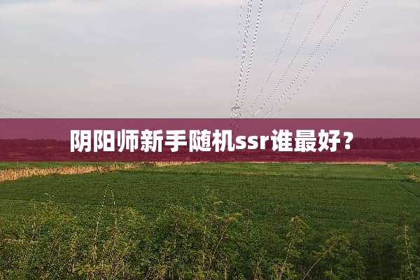 *阳师新手随机ssr谁最好？