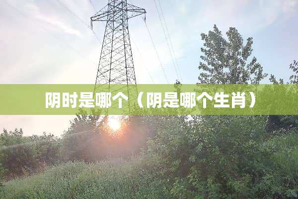 *时是哪个（*是哪个生肖）