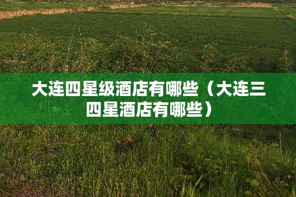 大连四星级酒店有哪些（大连三四星酒店有哪些）