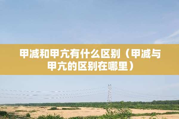 甲减和甲亢有什么区别（甲减与甲亢的区别在哪里）