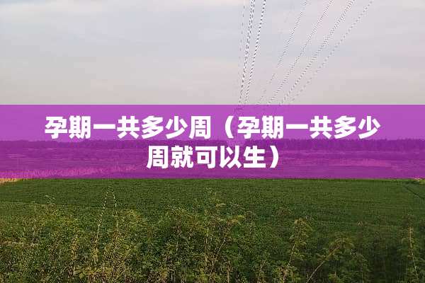 孕期一共多少周（孕期一共多少周就可以生）