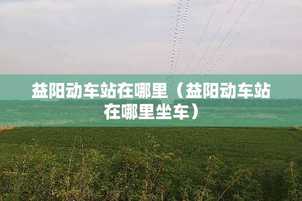 益阳动车站在哪里（益阳动车站在哪里坐车）
