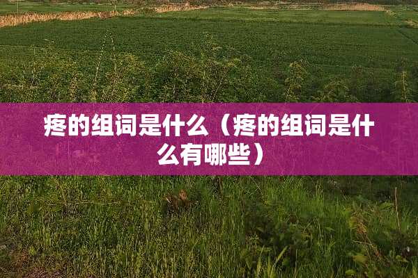 疼的组词是什么（疼的组词是什么有哪些）
