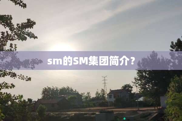 sm的SM集团简介？