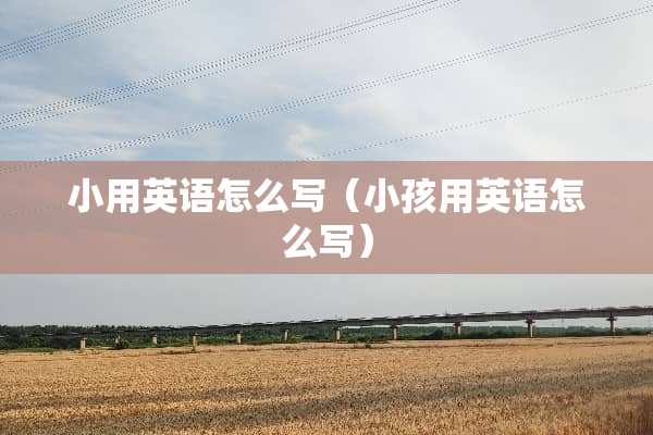 小用英语怎么写（小孩用英语怎么写）