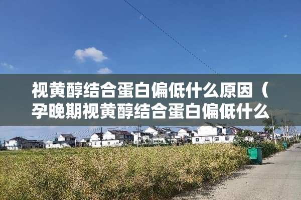 视黄醇结合蛋白偏低什么原因（孕晚期视黄醇结合蛋白偏低什么原因）