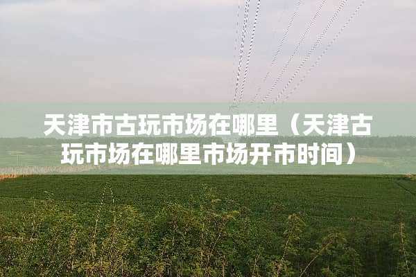 天津市古玩市场在哪里（天津古玩市场在哪里市场开市时间）