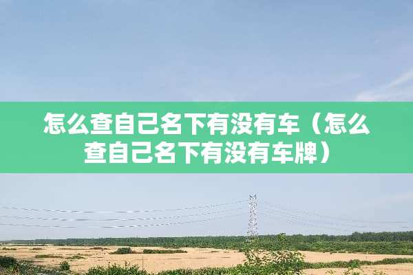怎么查自己名下有没有车（怎么查自己名下有没有车牌）
