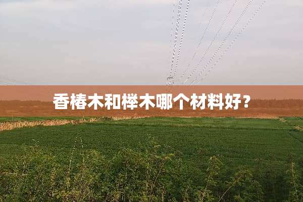 香椿木和榉木哪个材料好？
