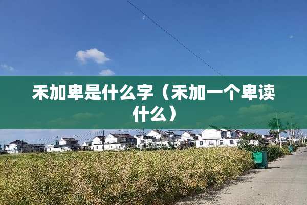 禾加卑是什么字（禾加一个卑读什么）