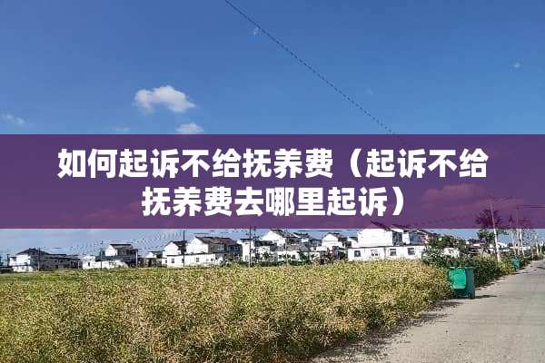 如何起诉不给抚养费（起诉不给抚养费去哪里起诉）