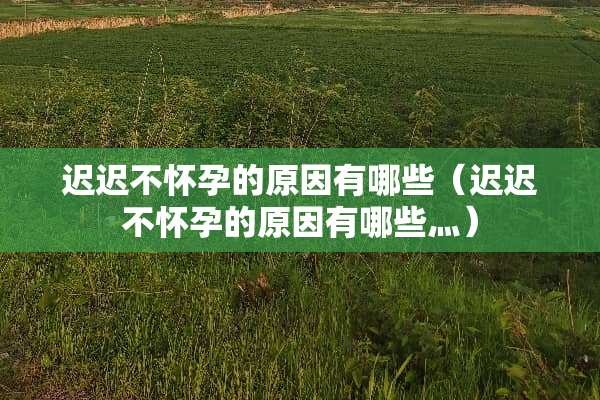 迟迟不怀孕的原因有哪些（迟迟不怀孕的原因有哪些灬）