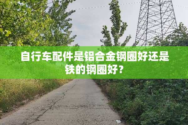自行车配件是铝合金钢圈好还是铁的钢圈好？