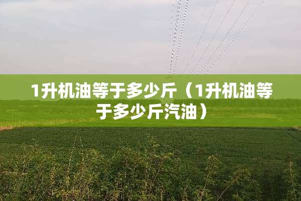 1升机油等于多少斤（1升机油等于多少斤汽油）