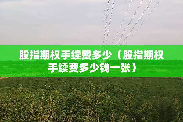 股指期权手续费多少（股指期权手续费多少钱一张）