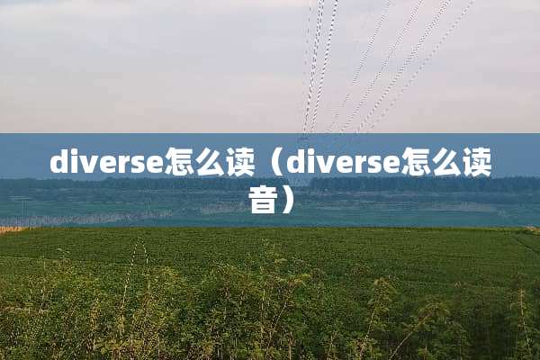 diverse怎么读（diverse怎么读音）