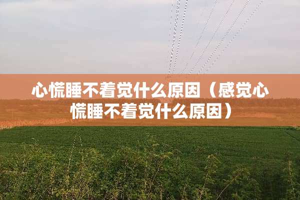 心慌睡不着觉什么原因（感觉心慌睡不着觉什么原因）
