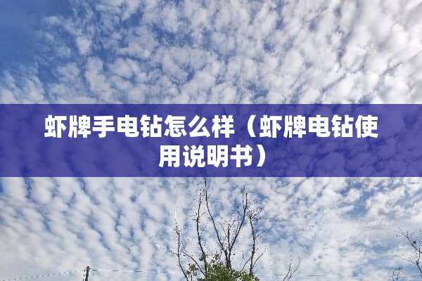 虾牌手电钻怎么样（虾牌电钻使用说明书）