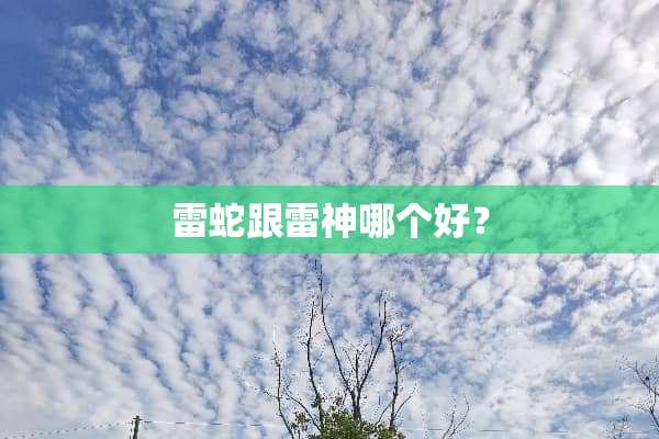 雷蛇跟雷神哪个好？
