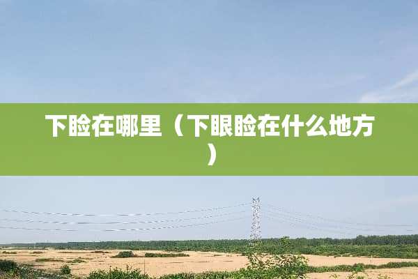 下睑在哪里（下眼睑在什么地方）