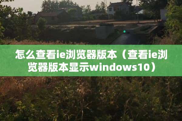 怎么查看ie浏览器版本（查看ie浏览器版本显示windows10）