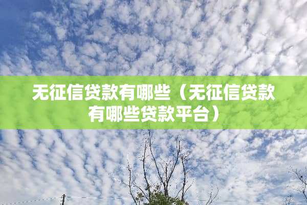 无征信贷款有哪些（无征信贷款有哪些贷款平台）