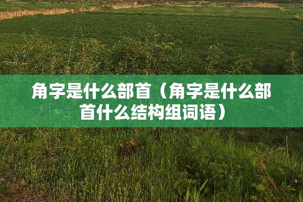 角字是什么部首（角字是什么部首什么结构组词语）