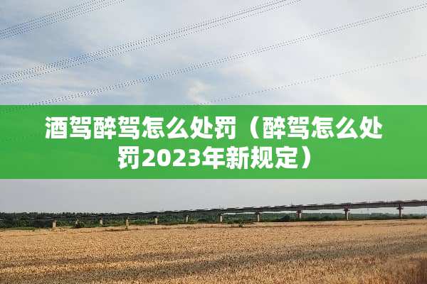 酒驾醉驾怎么处罚（醉驾怎么处罚2023年新规定）