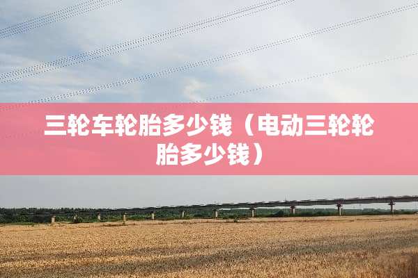 三轮车轮胎多少钱（电动三轮轮胎多少钱）