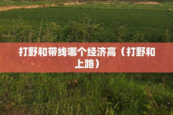 打野和带线哪个经济高（打野和上路）