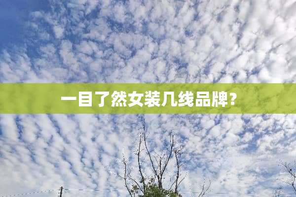 一目了然女装几线品牌？