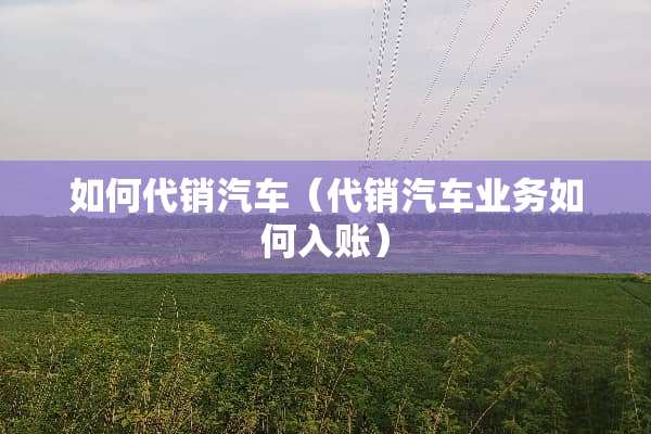 如何代销汽车（代销汽车业务如何入账）
