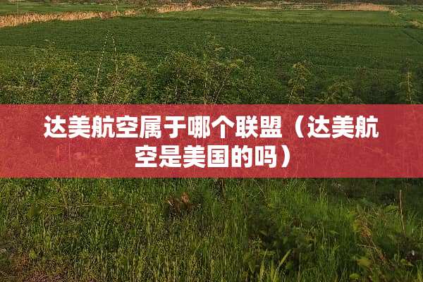达美航空属于哪个联盟（达美航空是美国的吗）