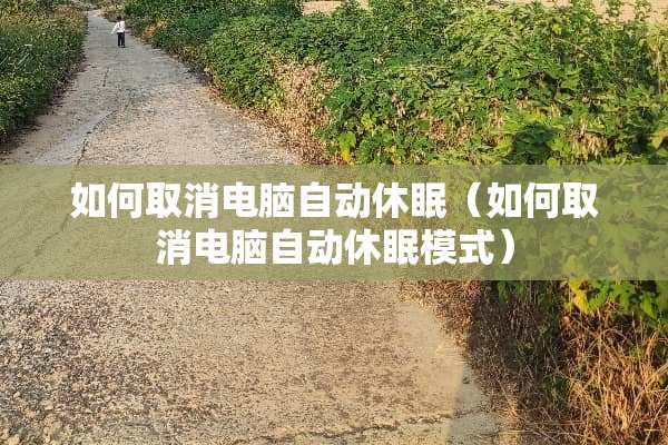 如何取消电脑自动休眠（如何取消电脑自动休眠模式）