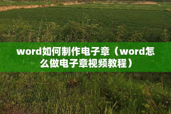 word如何制作电子章（word怎么做电子章视频教程）
