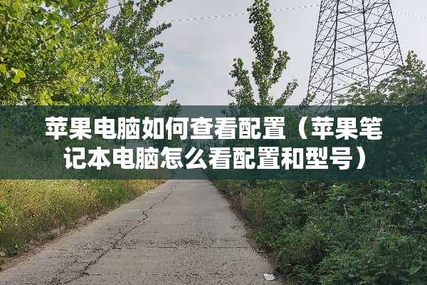 苹果电脑如何查看配置（苹果笔记本电脑怎么看配置和型号）