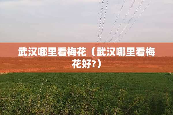 武汉哪里看梅花（武汉哪里看梅花好?）