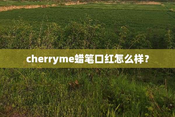 cherryme蜡笔口红怎么样？