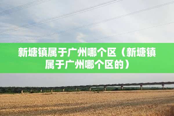 新塘镇属于广州哪个区（新塘镇属于广州哪个区的）