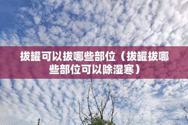 拔罐可以拔哪些部位（拔罐拔哪些部位可以除湿寒）