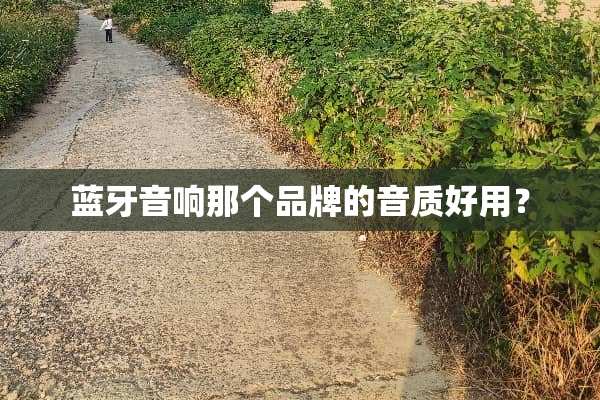 蓝牙音响那个品牌的音质好用？